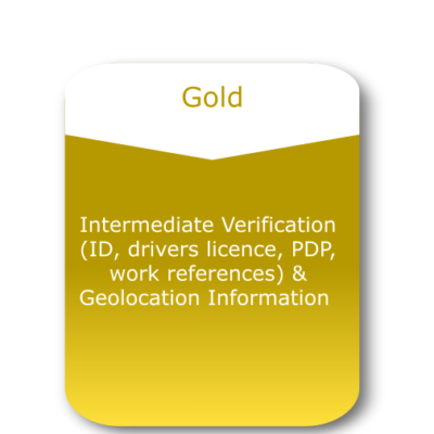 Comprehensive Audit (Gold)